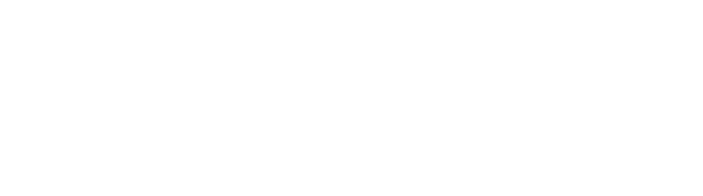 VIA SYSTEMS